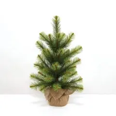 Empire Pine Tree With Burlap Base 24"