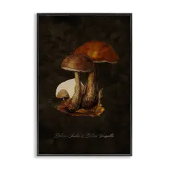 Stupell Industries Mushroom Types Study Framed Giclee Wall Art Design by Tina Higgins Designs, Inc.