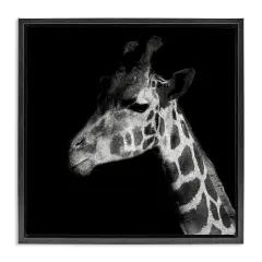Stupell Industries Jungle Giraffe Portrait Framed Floater Canvas Wall Art Design by Patricia Pinto