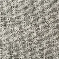 Oceanside Durable Polyester Width 55" Granite