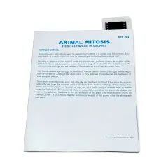 Microslide, Animal Mitosis, 35mm