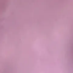 1 Yard Solid Stretch Shiny Vinyl Polyester Spandex Activewear Dancewear 58/60 Width Pink