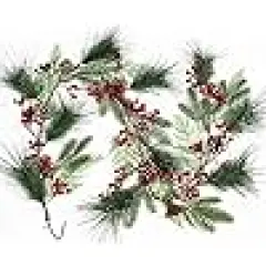 Spruce Cypress Berries Pinecones Winter