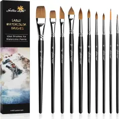 Watercolor Brushes Professional Set, 10 Artist Brushes Watercolor Paint Brushes