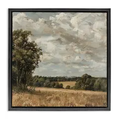 Stupell Industries Clouds Over Country Scenery Floating Frame Design by LSR Creative Studio