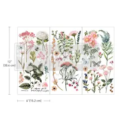 Small Transfers - Botanical Paradise - 3 sheets, 6"x12"