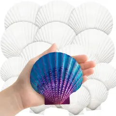 18PCS Large Natural Scallop Shells,4''-5'' White Seashells Bulk for Crafts DIY Painting Baking and Ocean Summer