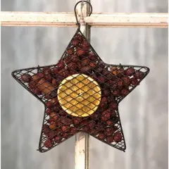 Wire Mesh Star with Orange Potpourri &ndash; 9" Hanging Decorative Accent with Citrus Scent