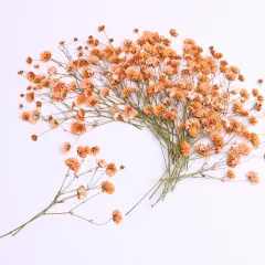 30 Pcs Orange Small Dried Babys Breath Flowers