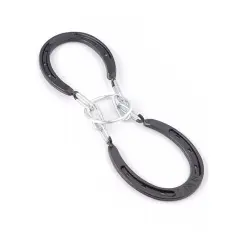 Puzzle: Dry Gulch Horseshoe