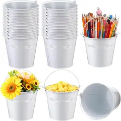 24 Pcs Metal Bucket