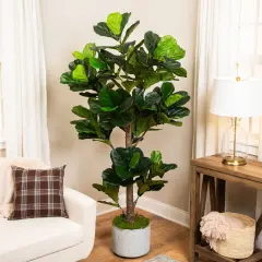 Northlight Potted Two Tone Green Artificial Wide Fiddle Leaf Fig Tree - 6.25'