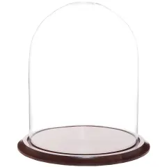 Plymor 11.75" x 15" Glass Display Dome Cloche Walnut