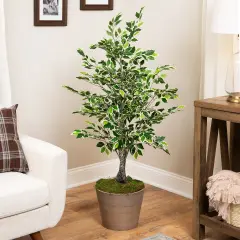 Northlight Artificial Variegated Ficus Leaf Potted Plant - 47" Green
