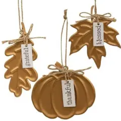 Bronze Gold Metal Harvest Ornaments with Jute Hangers Thankful Grateful Blessed Tags 3 Asstd.