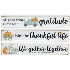 Fall-Themed Mini Wooden Word Blocks with Black Text and Rustic Distressed White Paint 3 Asstd.