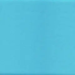 1 Yard Solid Peach knit Fabric, Soft Lightweight Stretch 57/58" Wide for Apparel AQUA