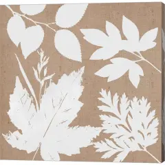 Leaves of Inspiration I Neutral by Studio Mousseau 12" x 12" Canvas Wall Art