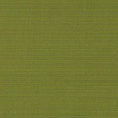 Grass - Green Plain & Solid Upholstery Fabric 54 Inches"