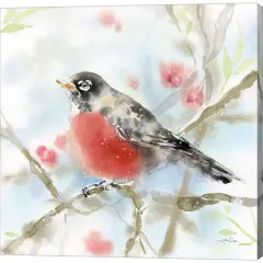 Spring Robin by Katrina Pete 12" x 12" Canvas Wall Art
