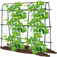 Cucumber Trellis for Raised Beds 70.8" L x 11.8" W x 70.8" H