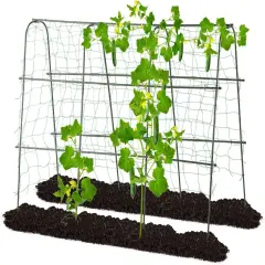 Garden Trellis for Climbing Plants Outdoor