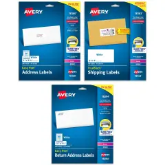 Avery White Address Labels with Permanent Adhesive, Sure Feed, 3 Sizes: 1"x 2 5/8" (300 Labels,18160), 2"x 4" (100 Labels,18163), 2/3"x 1 3/4" (600 Labels,18294), 1 Pack of Each, 1,000 Labels Total
