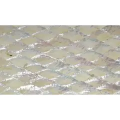 Shell Veneer, 5.5 x 9.5 inches | WMOP, BMOP, Abalone | Includes 3M Adhesive Sheet for Application, Great for Inlay Projects Pearl Natural