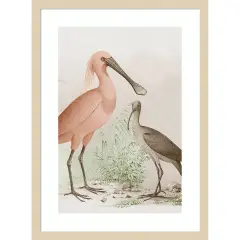Antique Chroma Waterbirds II byWood Framed Wall Art Print