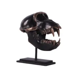 Monkey Macaque Skull Life Size Statue