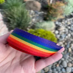 Rainbow Stripe 1&rdquo; Seatbelt Webbing (by the yard)