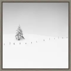 Placeholder by Alexej Schulz Framed Canvas Wall Art