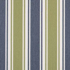 Leaf - Blue,Green Stripe Upholstery Fabric 54 Inches"