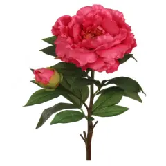 4pc 30" Peony Stem Fuchsia