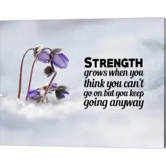 Strength Grows - Flowers in Snow Color by Color Me Happy 20" x 16" Canvas Wall Art