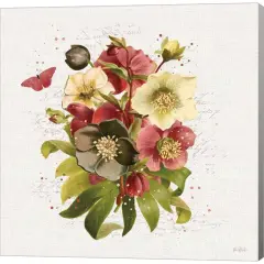 Vintage Petals VII by Katie Pertiet 12" x 12" Canvas Wall Art