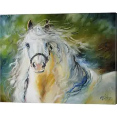 White Cloud The Andlusian Stallion by Marcia Baldwin 20" x 16" Canvas Wall Art