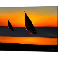Sunset by Ata Alishahi 20" x 16" Canvas Wall Art