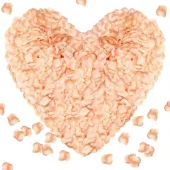 1000 Pieces Artificial Rose Petals (Flesh Pink)