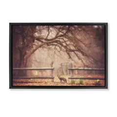 Stupell Industries Sly Guy Fox in Forest Floating Frame, design by Carrie Ann Grippo-Pike