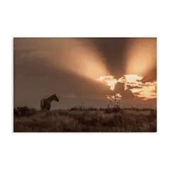 Stupell Industries Faded Sunset with Horse Canvas Wall Art Design by Nathan Larson