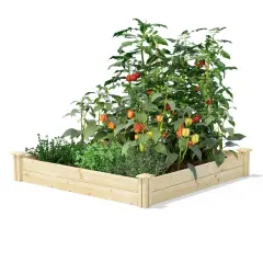 Spacious 4 ft x 4 ft Pine Wood Raised Garden Bed for Outdoor Growing