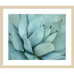 Agave Detail IV by Brittany Evans Wood Framed Wall Art Print