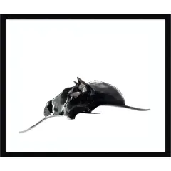 Asher III by Emily Kalina Wood Framed Wall Art Print