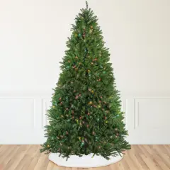 Northlight 12' Pre-Lit Full Northern Pine Artificial Christmas Tree - Multi-Color Lights Green