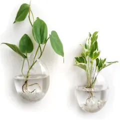 Wall Hanging Glass Terrarium Oblate Planter Vase for Hydroponics Plants