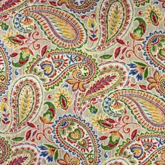 Richloom Solarium ALTERA - Outdoor/Indoor Fabric Multi