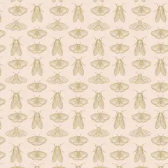 Emerging Wings in Frost (spe68303) | Spring Equinox | Katie O'Shea | Art Gallery