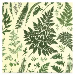 Elan Transfers Overglaze Decal Sheet - Ferns