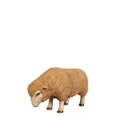 Baby Merino Ewe Head Down Life Size Statue